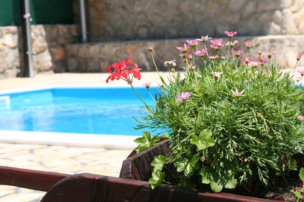 Apartments Petricic With Swimming Pool Ičići 外观 照片